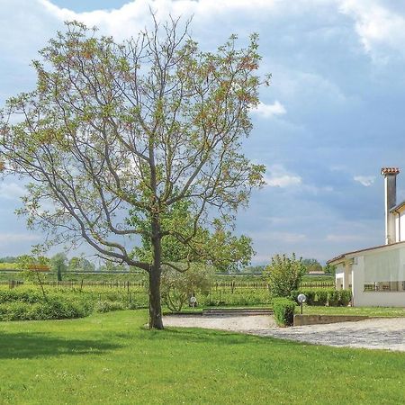 Casa Di Mamy Villa Sant'Elena di Silea Exteriör bild
